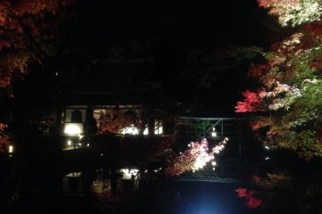 The temple and fall foliage are illuminated for night viewing